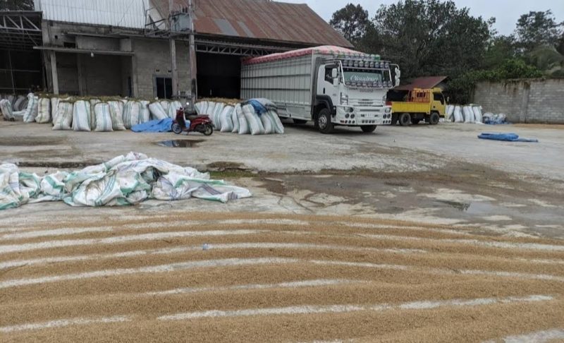 Warga kembali Keluhkan Aktivitas Pabrik Gabah UD AMERTHA PUTRA yg beroperasi di pemukiman warga desa margomulyo.